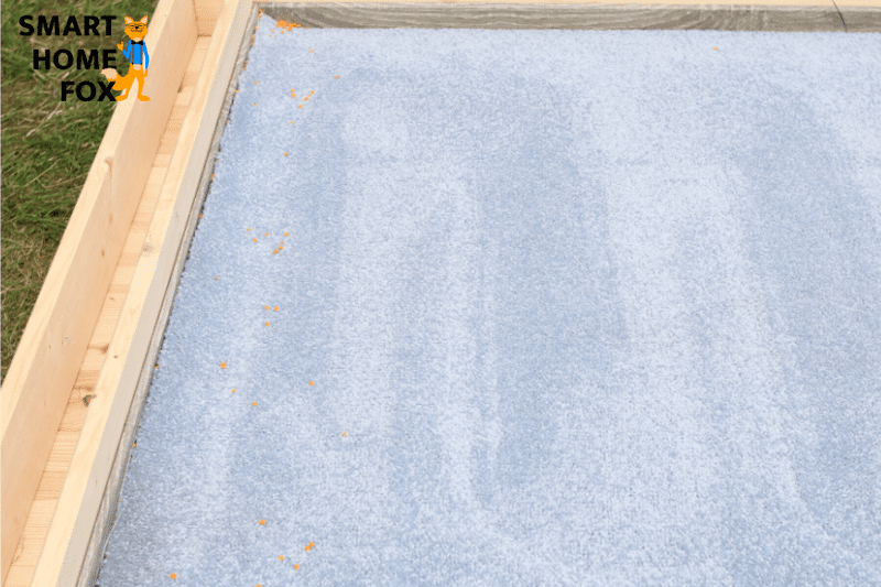 Here’s a thoroughly brushed carpet after the iRobot Roomba i7 cleaned it.